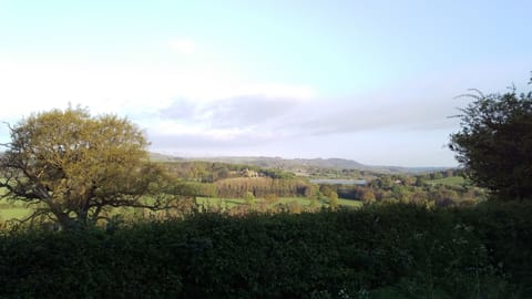 Land view from property