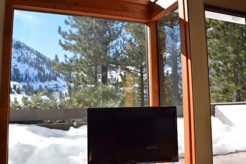 Living room views of Palisades Resort.