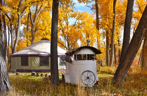 We have the composting toilet in an old Horse Trailer with Grove Yurt behind.