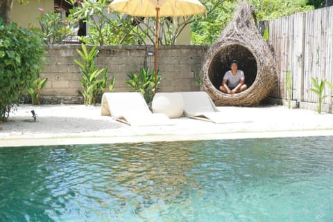 Outdoor pool, sun loungers