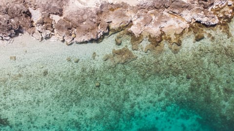 Villa Demer // Beach nearbly