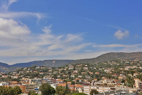 View from the balcony, Maures mountains side country side