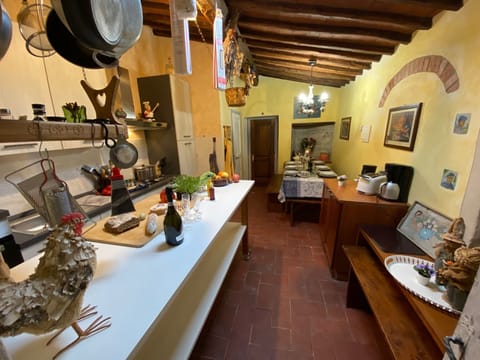 very well equipped build-in kitchen with additional dining space