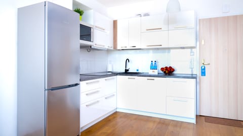 Superior Apartment (3) | Private kitchenette | Fridge, coffee/tea maker, electric kettle, highchair