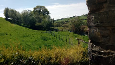 Land view from property