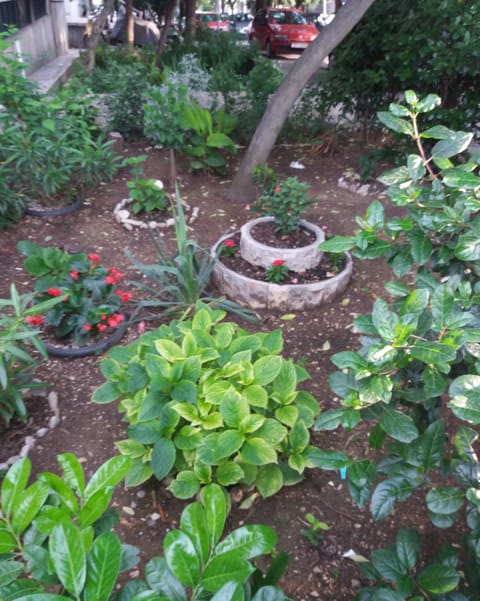 Detail from the garden in front of the apartment