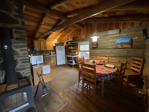 Dining and kitchen area