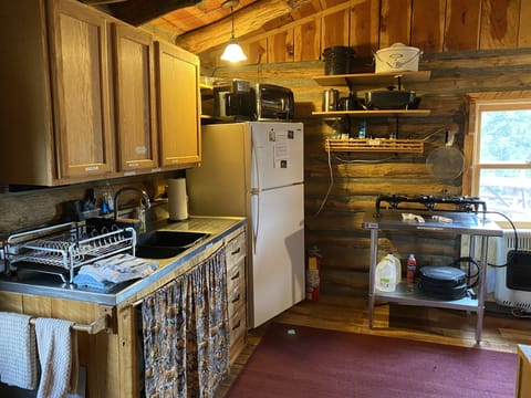 Refrigerator, toaster oven, crockpot, propane cooktop. Electric skillet , sink.
