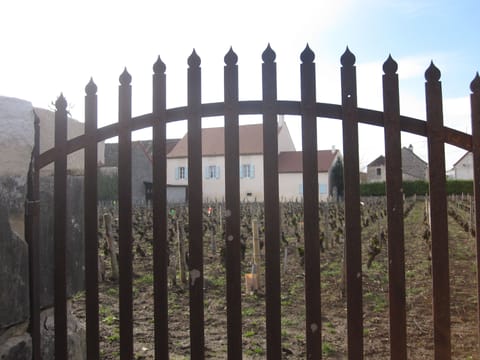 They have about the same floor space. But  the "Little House" is on two levels!