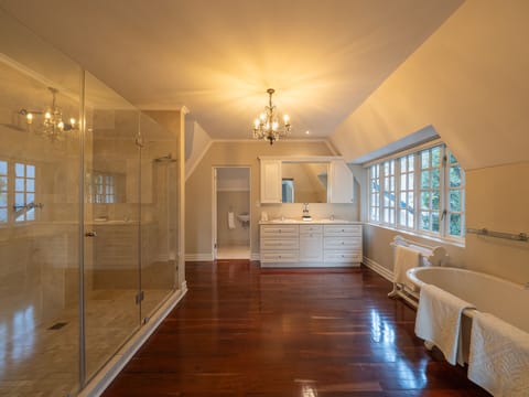 Premium Double Room | Bathroom | Separate tub and shower, deep soaking tub, free toiletries, hair dryer