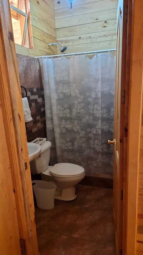 Exclusive Cabin, Multiple Beds | Bathroom | Shower, free toiletries, bidet