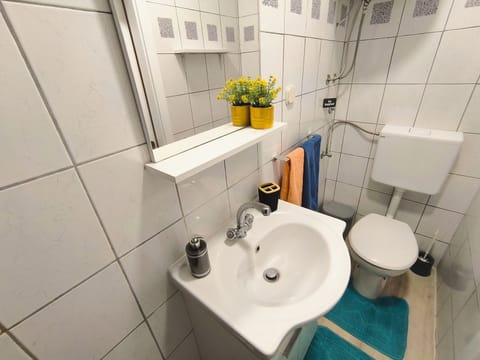 Double Room  | Bathroom | Shower, hair dryer, towels