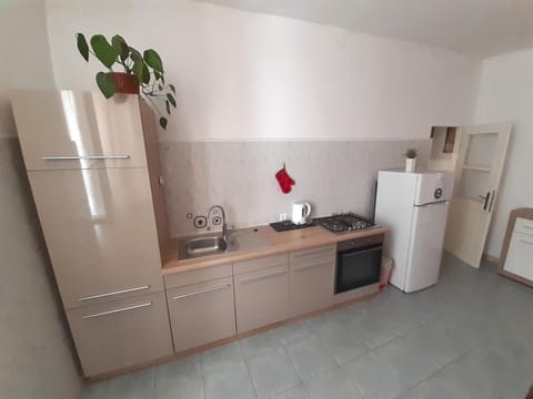 Apartment, 1 Bedroom | Private kitchen | Fridge, electric kettle, toaster, freezer