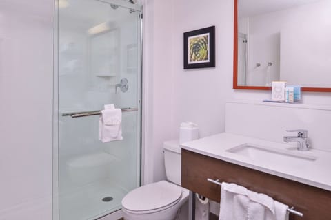 Room, Accessible, Non Smoking | Bathroom shower