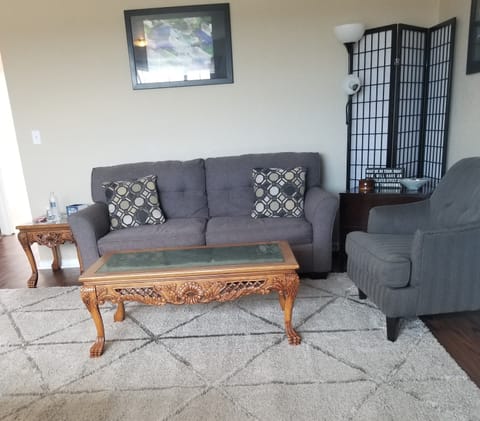 Unit 203: New living room with Queen sleeper.