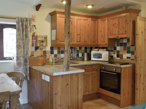 Well-equipped kitchen | Demelza - St Leonards, Polson, nr. Launceston