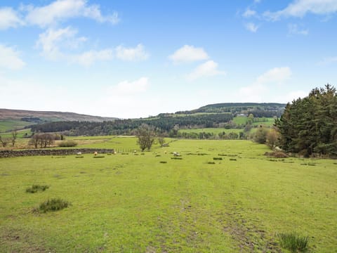 Surrounding area | The Cottage - Harbut Law Holiday Cottages, Alston
