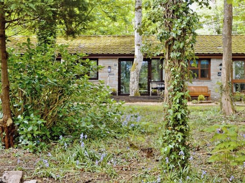 Exterior | Grace Lands, Lelant, nr. St Ives