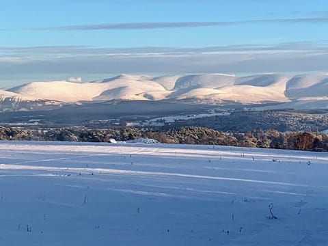 Surrounding area | Squirrel View, Newtonmore