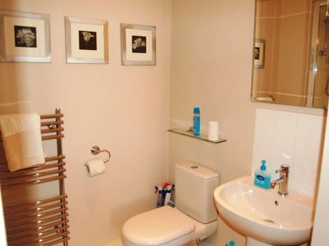 En-suite shower | Brundholme, Keswick