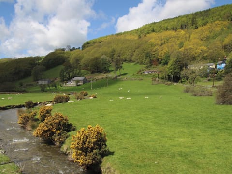 Setting | Tŷ Melindwr, Hen Goginan, near Aberystwyth