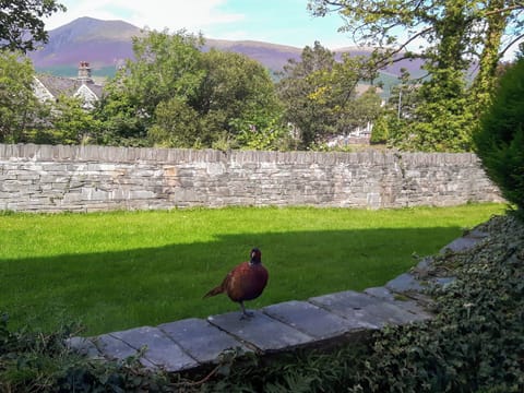 Lovely views to Skiddaw and beyond | 2 Greta Grove House - Greta Grove Apartments, Keswick