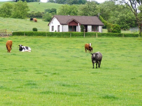 Setting | Gean Cottage, Rumbling Bridge, near Kinross