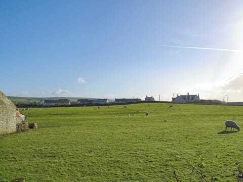 Surrounding area | Pendragon Cottage, Tregatta, near Tintagel