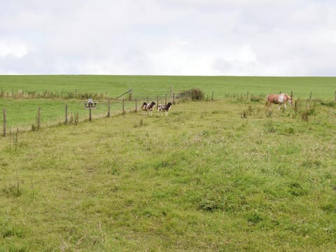 Surrounded by open countryside | Bryneirin, Bwlchyfadfa, Talgarreg