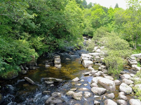 Picturesque local scenery | Fisherman’s CottageThe Nook, Dartmeet, near Yelverton