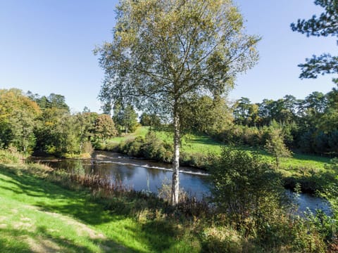 Surrounding Views | No 2 The Stables, No 1 The Stables - Auchendrane Stables, Alloway, near Ayr
