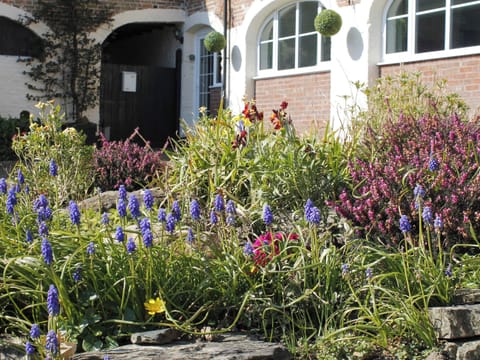 Lovely flower beds at front of property | Dairy Cottage, Barnstaple