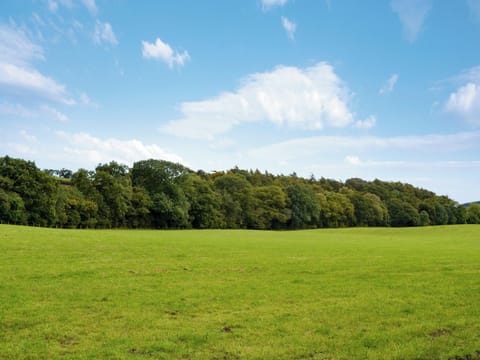 Surrounding area | 1710 - The Seventeen Ten Cottages, Greenwell, near Brampton