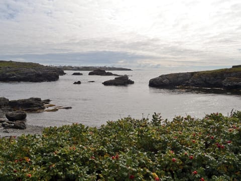View | Gwelfor, Trearddur Bay, Anglesey