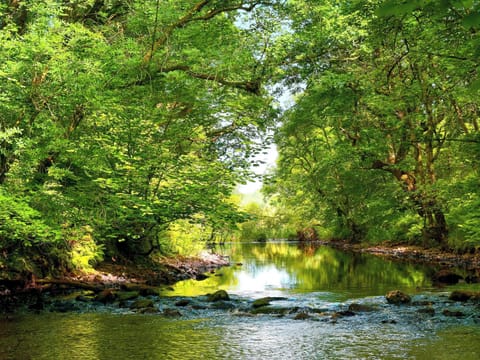 Galloway Forest Park