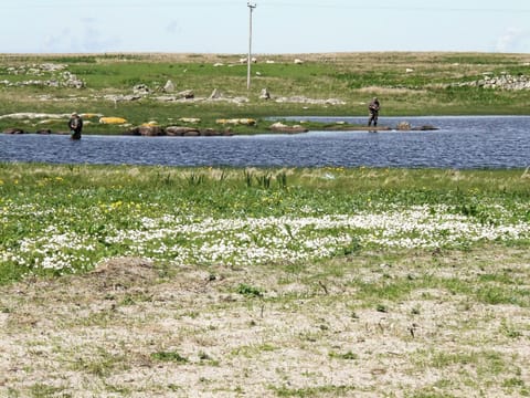 Fishing | Kilbride Cottage, Kilbride Beach Cottage, Near Lochboisdale, South Uistnear