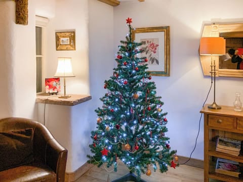 Christmas | Wordsworth Cottage, Sockbridge, near Ullswater