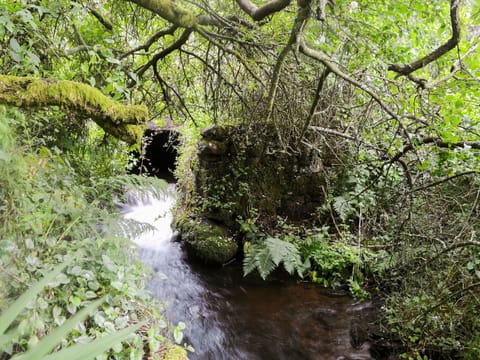 Surrounding area | The Cottage, Glenmidge, Auldgirth, near Dumfries