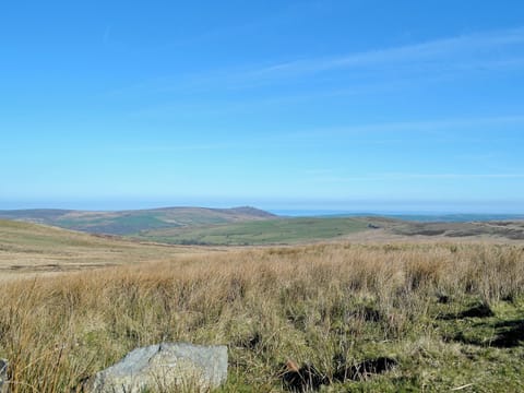 Preseli Hills | Pembrokshire, Wales
