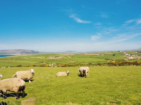 View | Riffli - Riffli, Cilan, nr. Abersoch