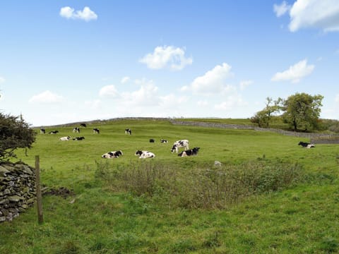 Surrounding views | Spoutscroft Cottage, Austwick, near Settle