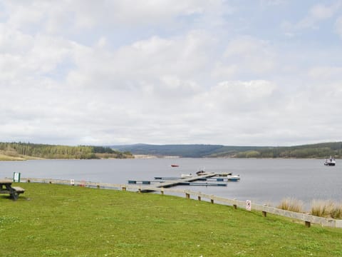 Kielder National park | Northumberland, England