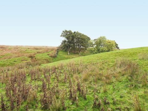Surrounding area | The Old Chapel, Baldersdale, nr. Barnard Castle