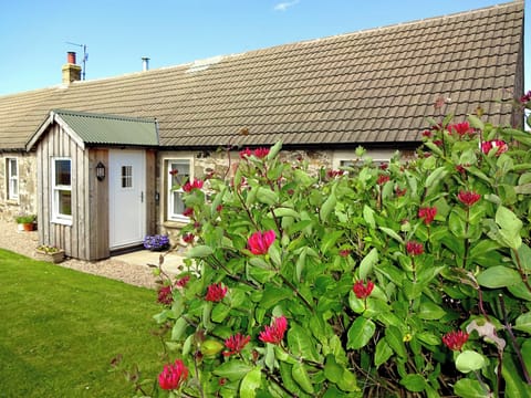 Delightful property | Charlie’s Cottage, Muasdale, near Campbeltown