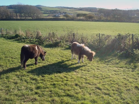 Ballantrae hills looking south towards River Stinchar | Ingleside, Ballantrae, near Girvan