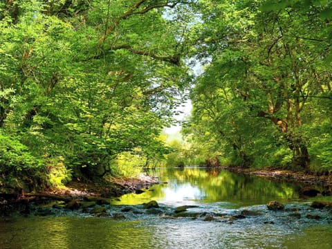 Galloway Forest Park