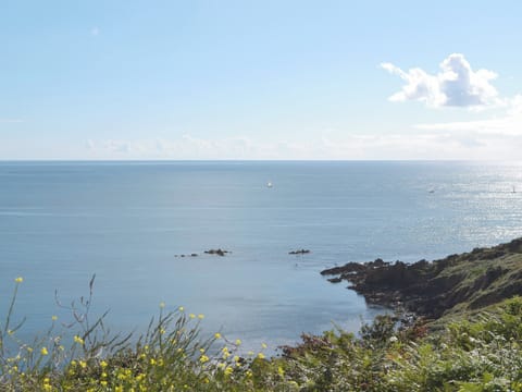 Coverack | Falmouth, Cornwall