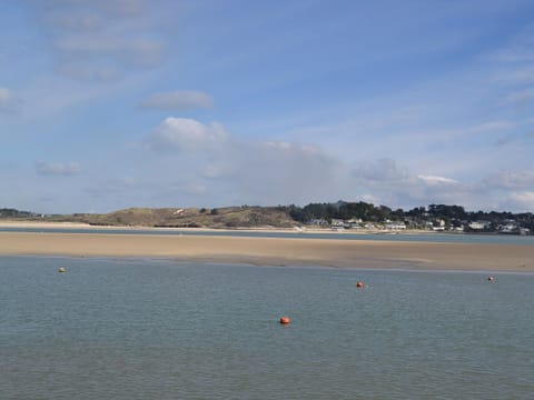 Camel estuary