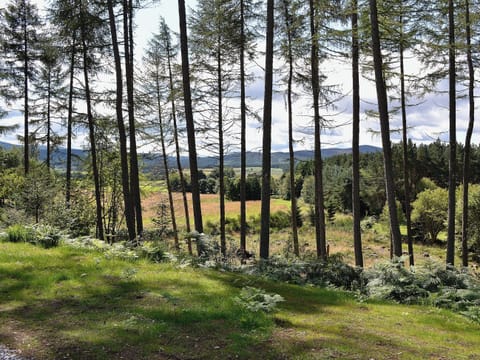View | Birchland - Mountshade, Strachan, nr. Banchory