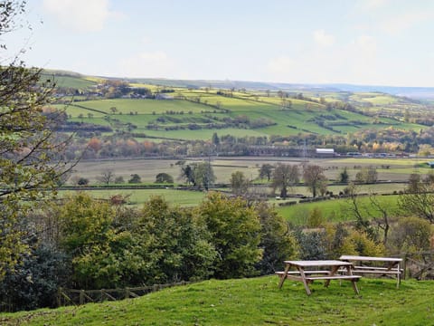 View | Bowlees Holiday Cottages - Raby Cottage, Wolsingham